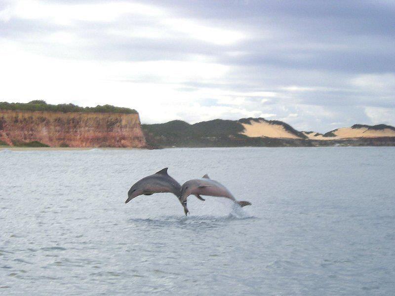Pousada Da Pipa Praia de Pipa ภายนอก รูปภาพ